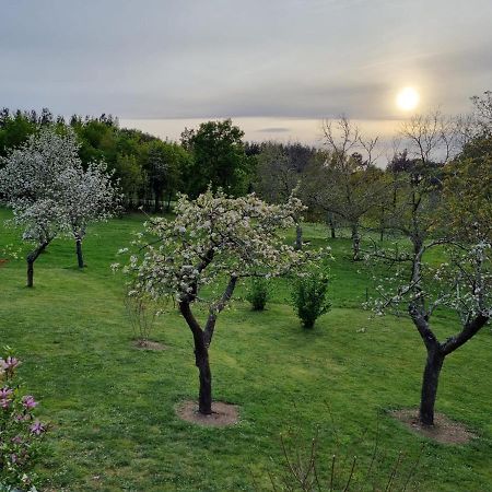 Casa Pro Pantea Villa Monforte De Lemos Eksteriør bilde